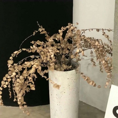 杂多福瑞交流群